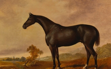 JAMES HENRY BROCAS | A BLACK IRISH DRAUGHT HORSE IN A LANDSCAPE