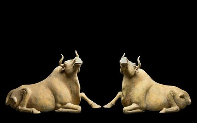 PAIR OF LARGE CHINESE TANG DYNASTY POTTERY OXEN - TL TESTED