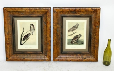 Pair of framed ornithological prints