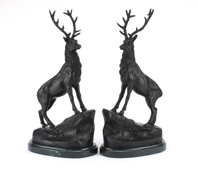 Pair of patinated bronze stags on shaped marble