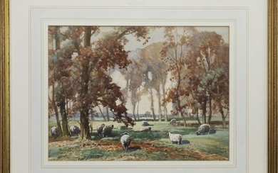 SHEEP GRAZING IN WOODLANDS, A WATERCOLOUR BY