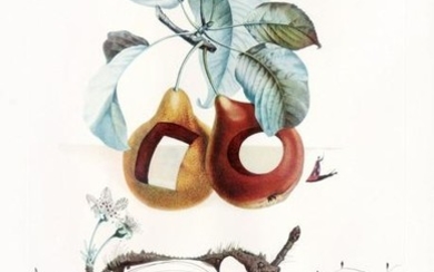 Salvador Dali - Flordali - Fruits Troués, 1969