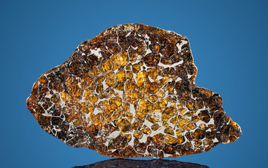 Seymchan Meteorite End Cut Pallasite, PMG Magadanskaya oblast', Russia...