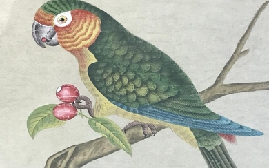 Signed Chinese Watercolor Painting, Parrot Artwork