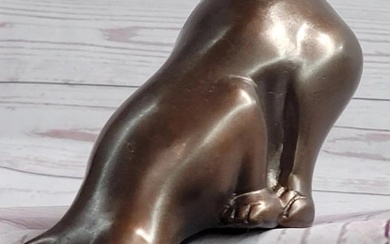 Signed Original Curious Kitten Bronze Sculpture - 3" x 6"