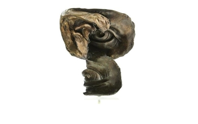 Surrealist Bronze Face Sculpture
