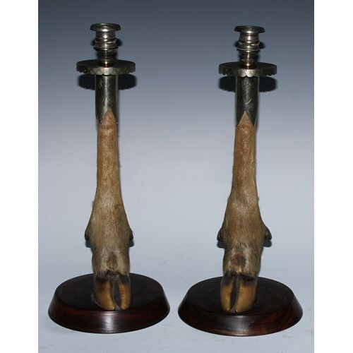 Taxidermy - a pair of early 20th century E.P.N.S mounted cou...