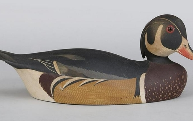 Wood duck Drake by Ken Harris Woodville, N.Y