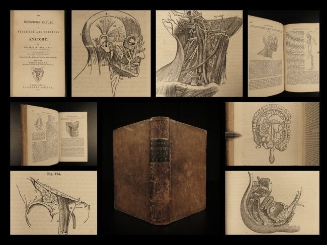 1856 Surgery Medicine Dissectors Manual of Human