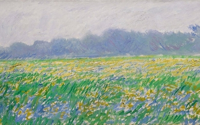 CHAMP D'IRIS À GIVERNY, Claude Monet