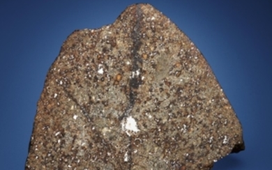 MBALE — ONE OF THE ONLY METEORITES TO HIT A PERSON, L5/6 Malukhu, Uganda (1°4'N, 34°10'E)