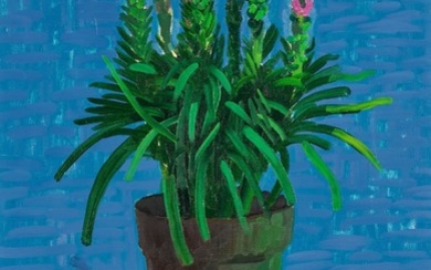 PLANT ON YELLOW CLOTH, David Hockney