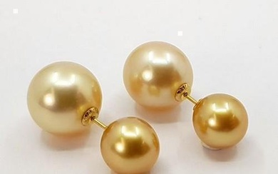9x12.5mm Golden South Sea Pearls - 18 kt. Yellow gold - Earrings