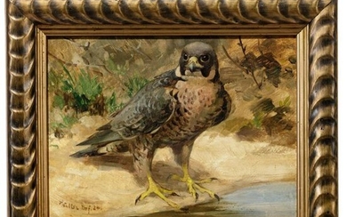 A German oil painting of a peregrine falcon by Renz