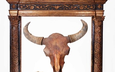 A RARE FOSSILISED SKULL OF AN EXTINCT STEPPE BISON, AT LEAST 10,000 YEARS OLD