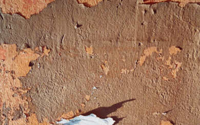Dennis Hopper (1936-2010) Morocco (Terracotta Peel)