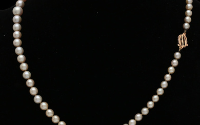 Gradient pearls choker with two-tone gold clasp, circa 1970.