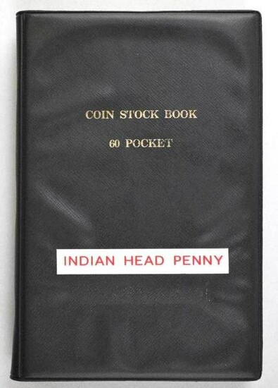 Group of (60) Indian Head Cents in Coin Stock Book (60)