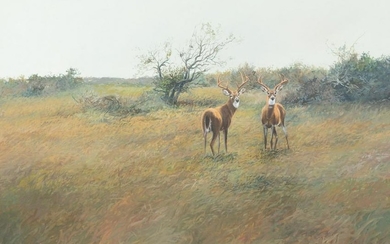 James Robinson (1944-2015), White Tail Deer, 1974