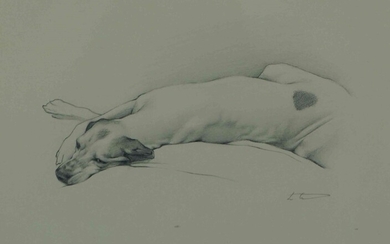 Laura Cullen (Irish, B.1997) "English Pointer", graphite, signed to lower right, 20cm x 25cm (Framed