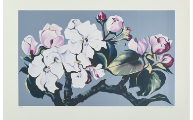 Lowell Nesbitt (1933-1993), Apple Blossoms (1980)