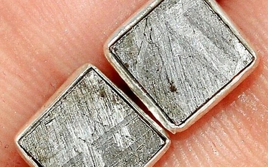 Muonionalusta Meteorite Sweden Sterling Post Earrings