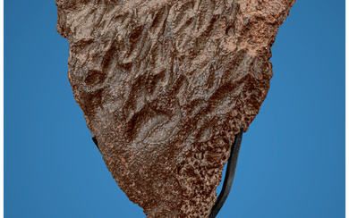 NWA Ordinary Chondrite Meteorite Unclassified Ordinary Chondrite Northwest Africa...