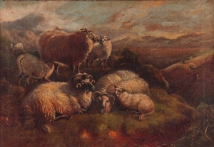 OIL ON CANVAS. Sheep resting on a heather landscape 34.5cm h...