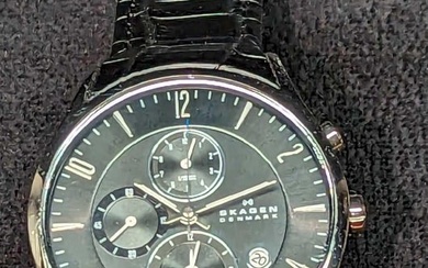 SKAGEN Steel Chronograph Men's Watch