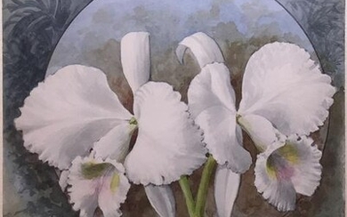 Storer Original Watercolor of an Orchid - Cattleya