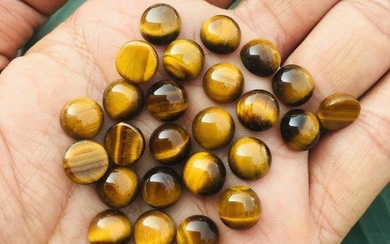 Tiger's Eye 4 MM Round Cabochon 50 Pieces