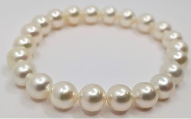 Top grade 8x9mm Akoya Pearls - Bracelet