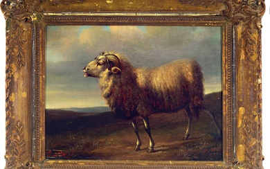 Unidentified artist, probably the Netherlands,around 1830, sheep in profile on...