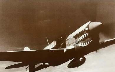World War II P-40 Warhawk Photo Print
