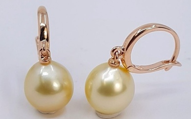 10x11mm Golden South Sea Pearls - Earrings Rose gold