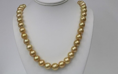 12-14mm South Sea Golden Near Round Necklace with Gold