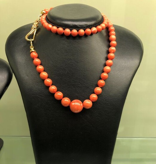 18 kt. Gold - Necklace Coral