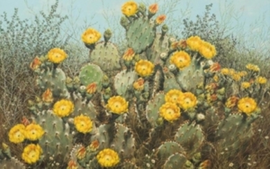 Helen Hunter (1920-2003), Blooming Cactus, 1978, oil