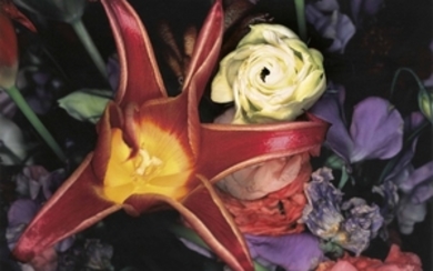 NOBUYOSHI ARAKI (B. 1940), Flower Rondeau, 1990s