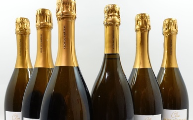 6 bouteilles CHAMPAGNE CLOS DU CHÂTEAU DE BLIGNY Cuvée 6 cépages Brut Nature (étiquettes fanées