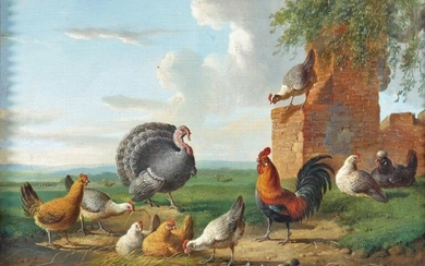 Albertus VERHOESEN (1806-1881) oil on wood "turkey roosters and hens"