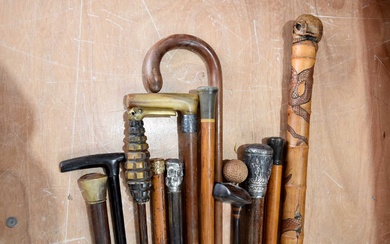 An assortment of various walking sticks and canes
