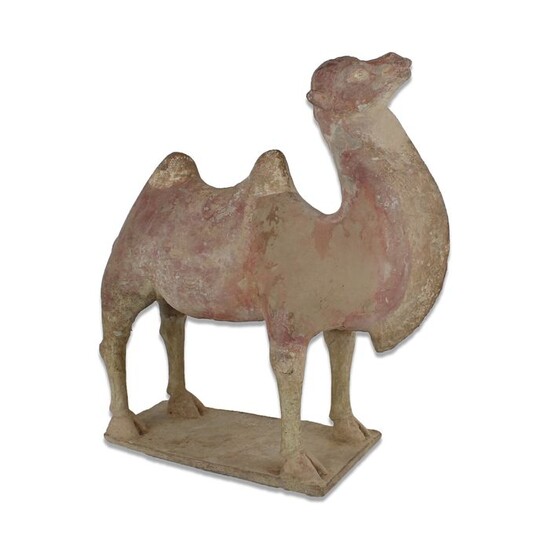 Ancient Chinese, Tang Dynasty Pottery Statuette of a camel - 260×240×0 mm - (1)