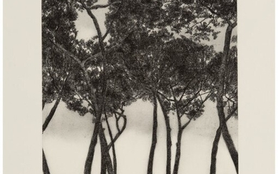 April Gornik (b. 1953) Sky in Trees, from April