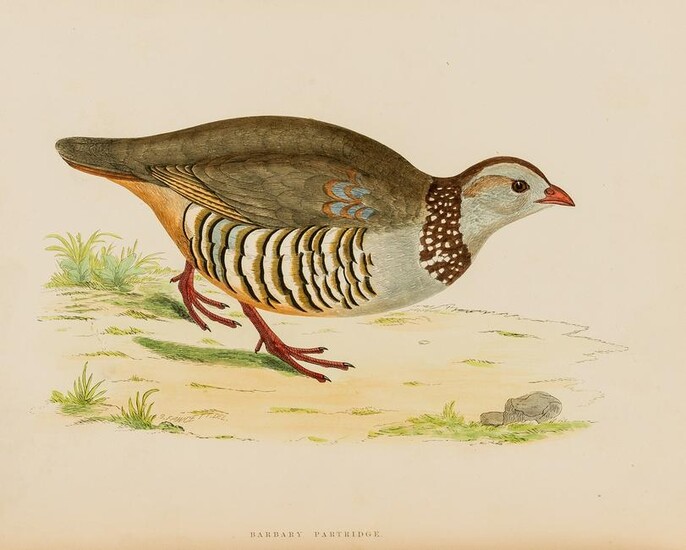 Birds.- Morris (Beverley R.) British Game Birds and