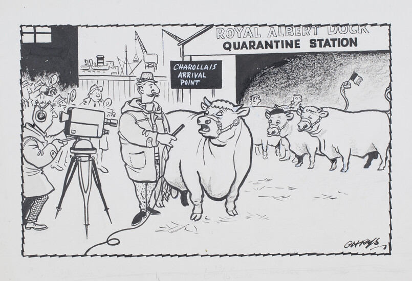 'Chrys' [George Chrystal] - Charollais [sic] Quarantine Station (Cartoon from 'Farmer