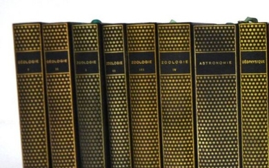 LA PLEIADE, 8 volumes - Lot 41 - Millon
