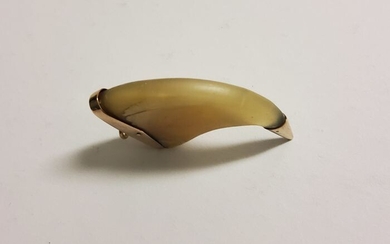 Large African Lion Claw Pendant, with 19ct Gold fittings - Panthera leo - 2×3×5 cm
