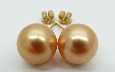 No Reserve Price - Golden South Sea Pearls, Round, 24K Golden Saturation 12.38, 12.42 mm - 18 kt. Yellow gold - Earrings