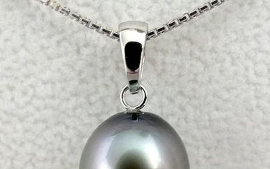 No reserve price Tahitian pearl, Pewter Indigo Purple Drop-Shaped 11.33 X 12.29 mm - Pendant, 18 kt. White Gold